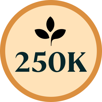 250K Badge